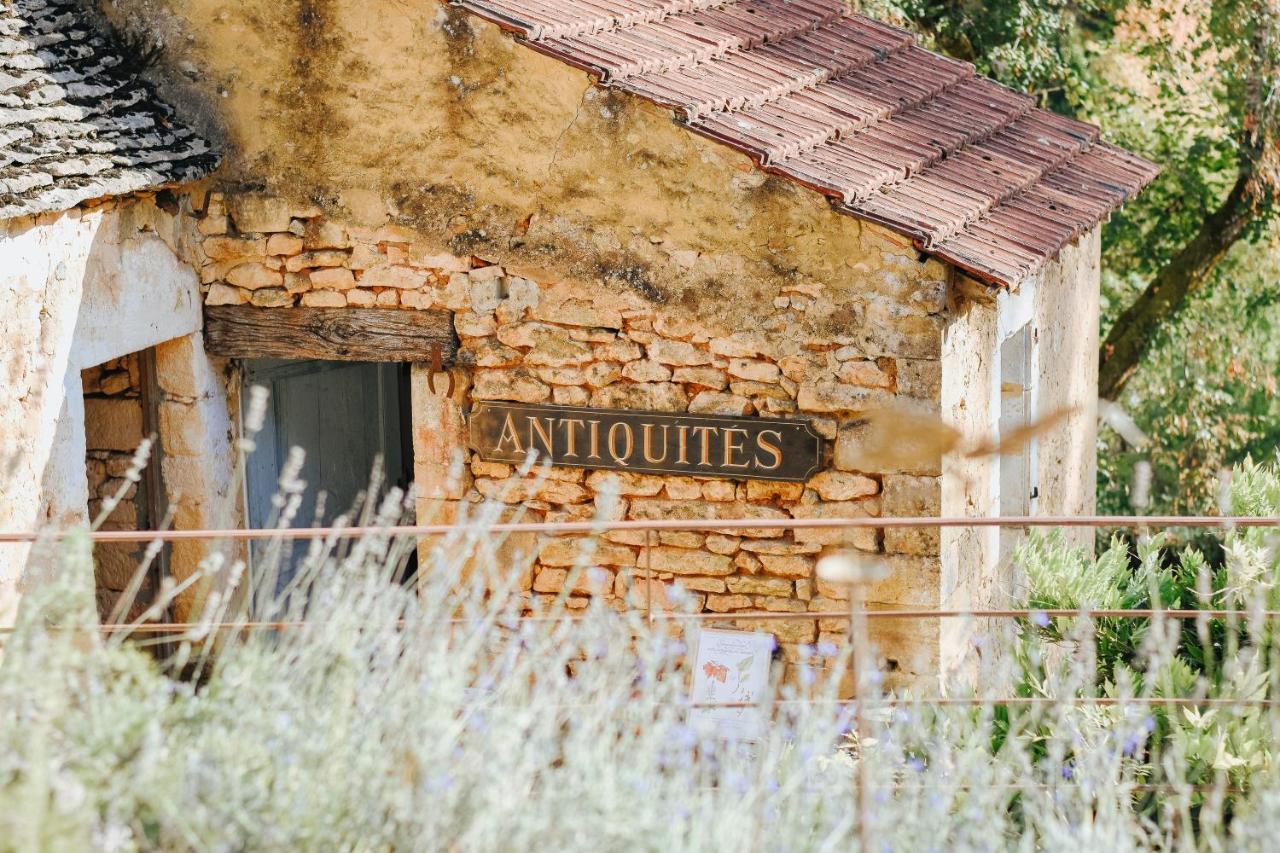 Maison Cistus - Maison D'Hotes De Charme - Suites Et Gite Avec Terrasses Privees - Proche De Sarlat, Au Coeur De La Nature المظهر الخارجي الصورة