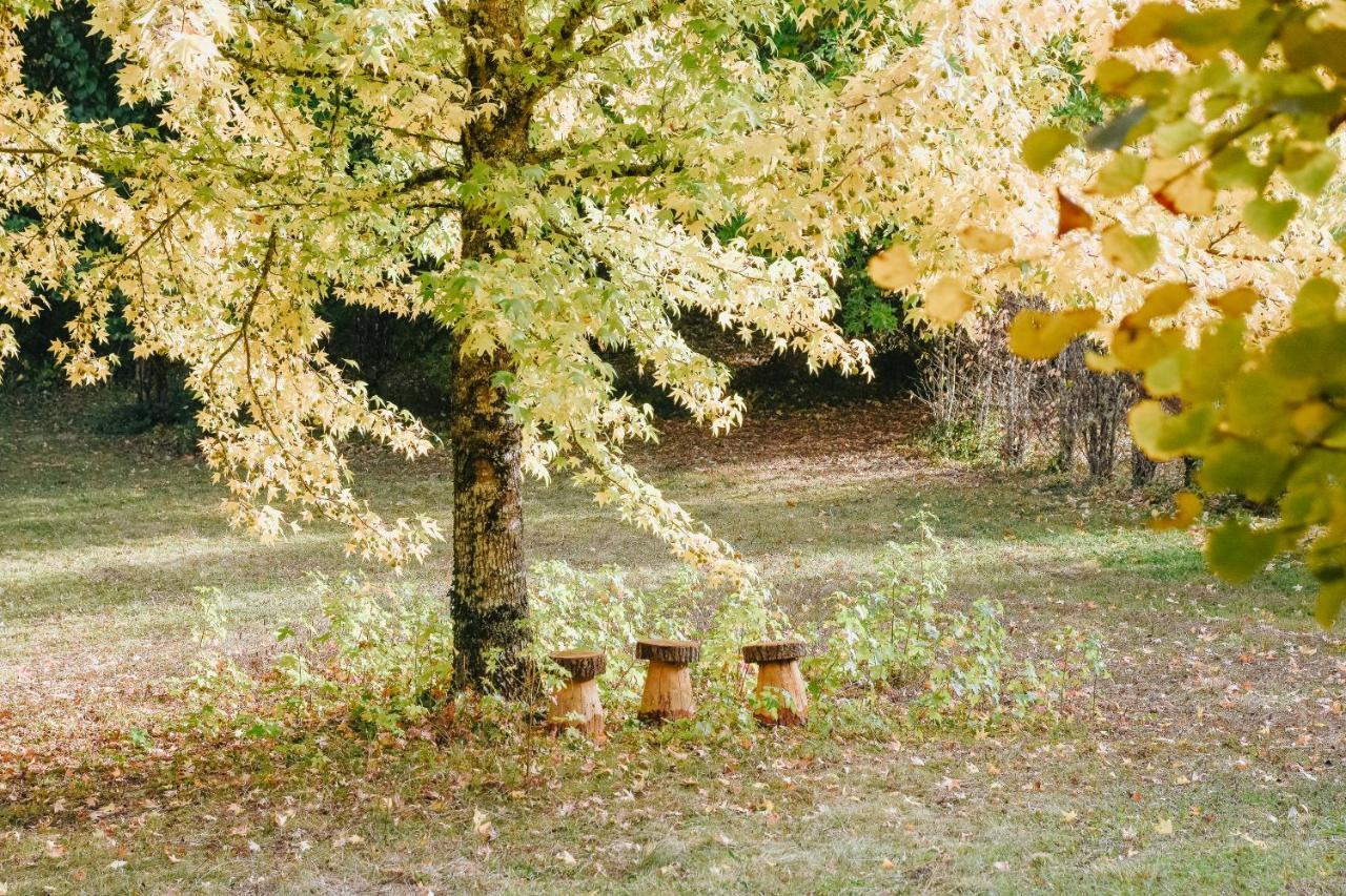 Maison Cistus - Maison D'Hotes De Charme - Suites Et Gite Avec Terrasses Privees - Proche De Sarlat, Au Coeur De La Nature المظهر الخارجي الصورة
