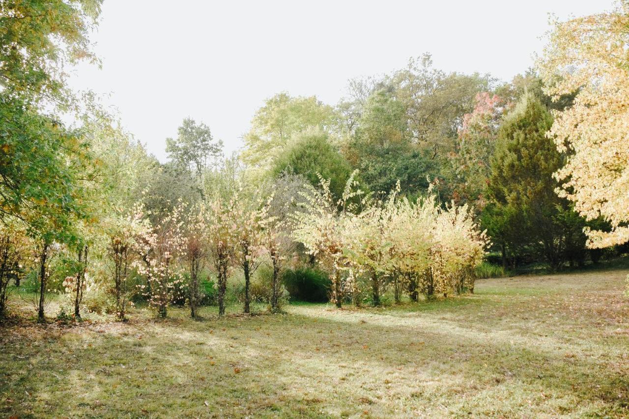 Maison Cistus - Maison D'Hotes De Charme - Suites Et Gite Avec Terrasses Privees - Proche De Sarlat, Au Coeur De La Nature المظهر الخارجي الصورة